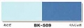 ミューズ ボード BK509 B3 (浅黄/群青) (10枚入)