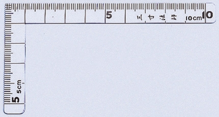 シンワ 曲尺 12101 三寸法師 10×5cm